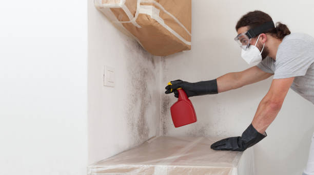 Professional Crawl Space Mold Remediation technician working in Skokie, IL